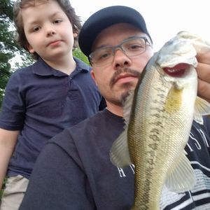 Meet your Posher, Steven